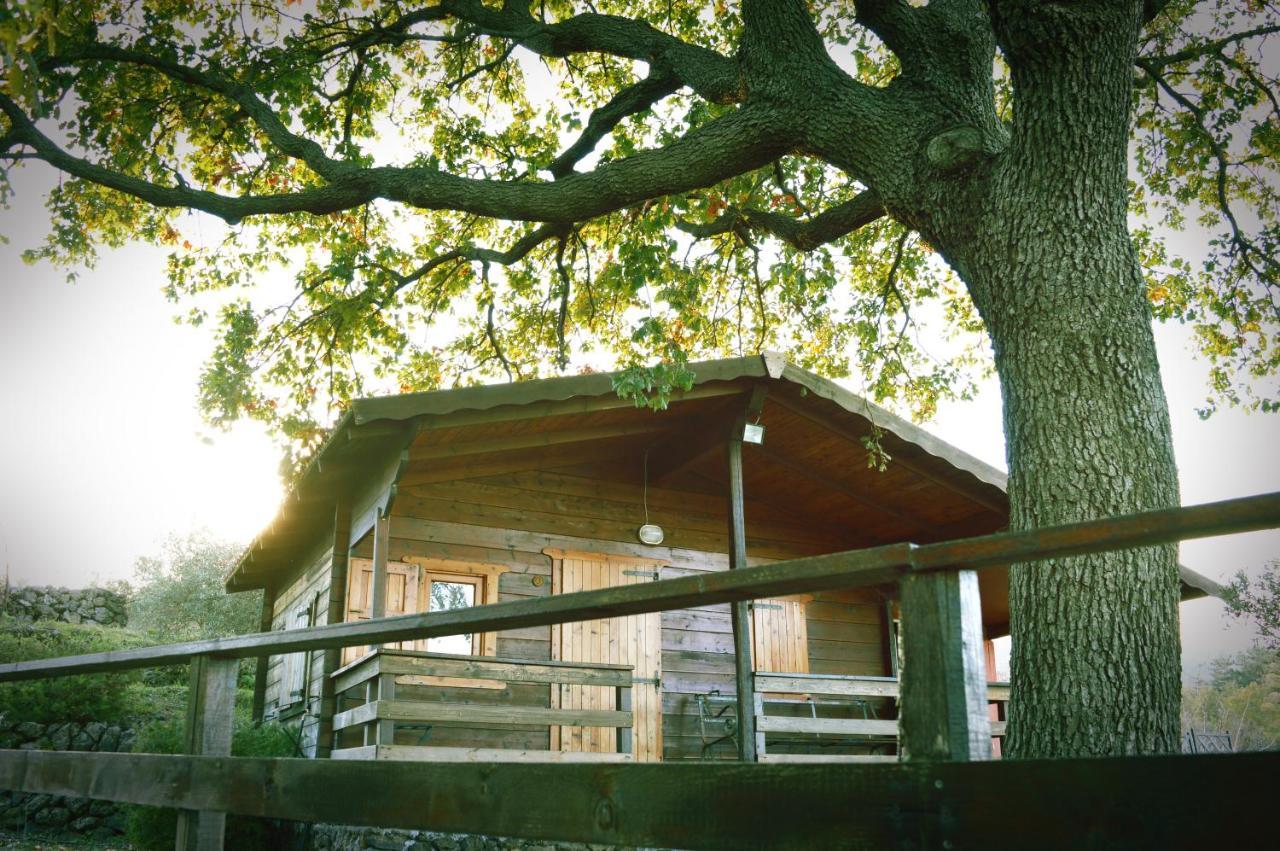 Agriturismo Kikajon Linguaglossa Luaran gambar