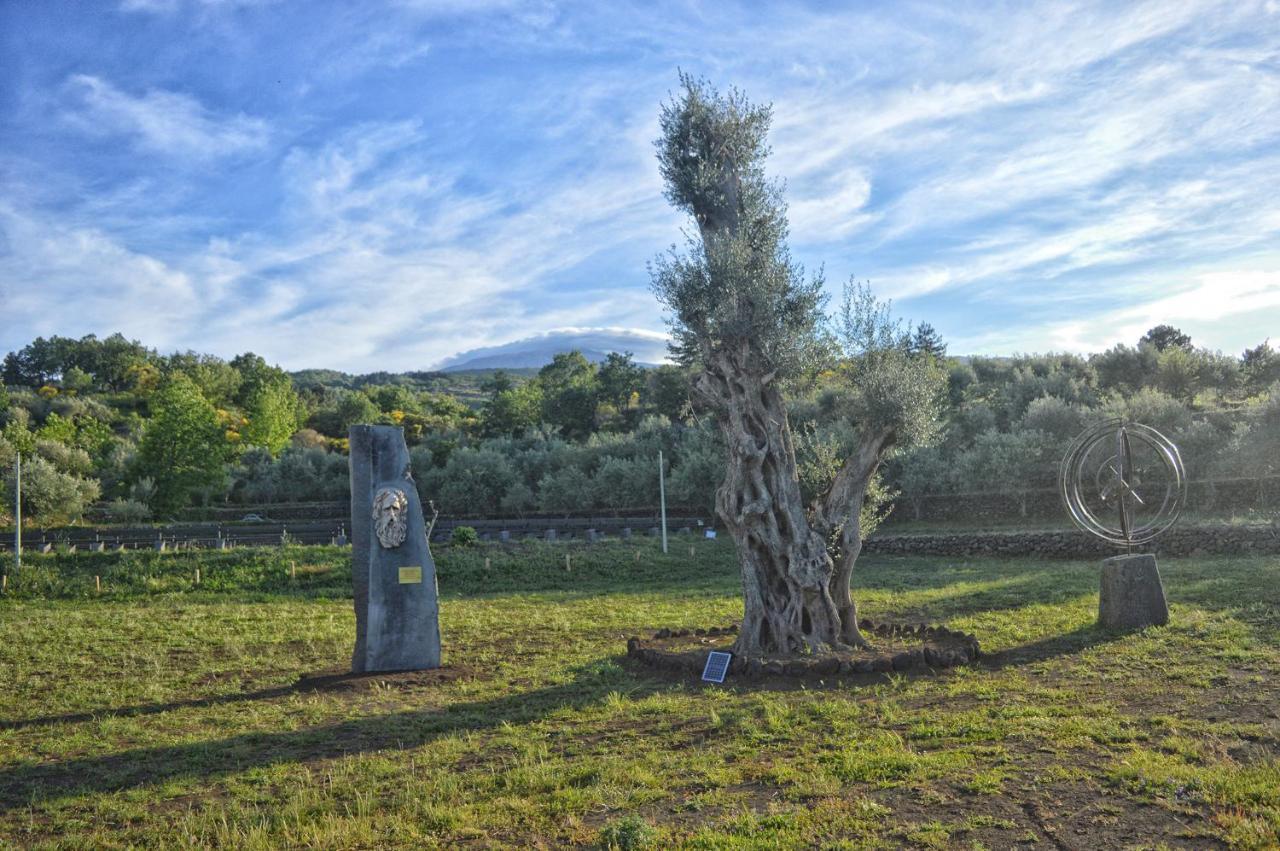 Agriturismo Kikajon Linguaglossa Luaran gambar