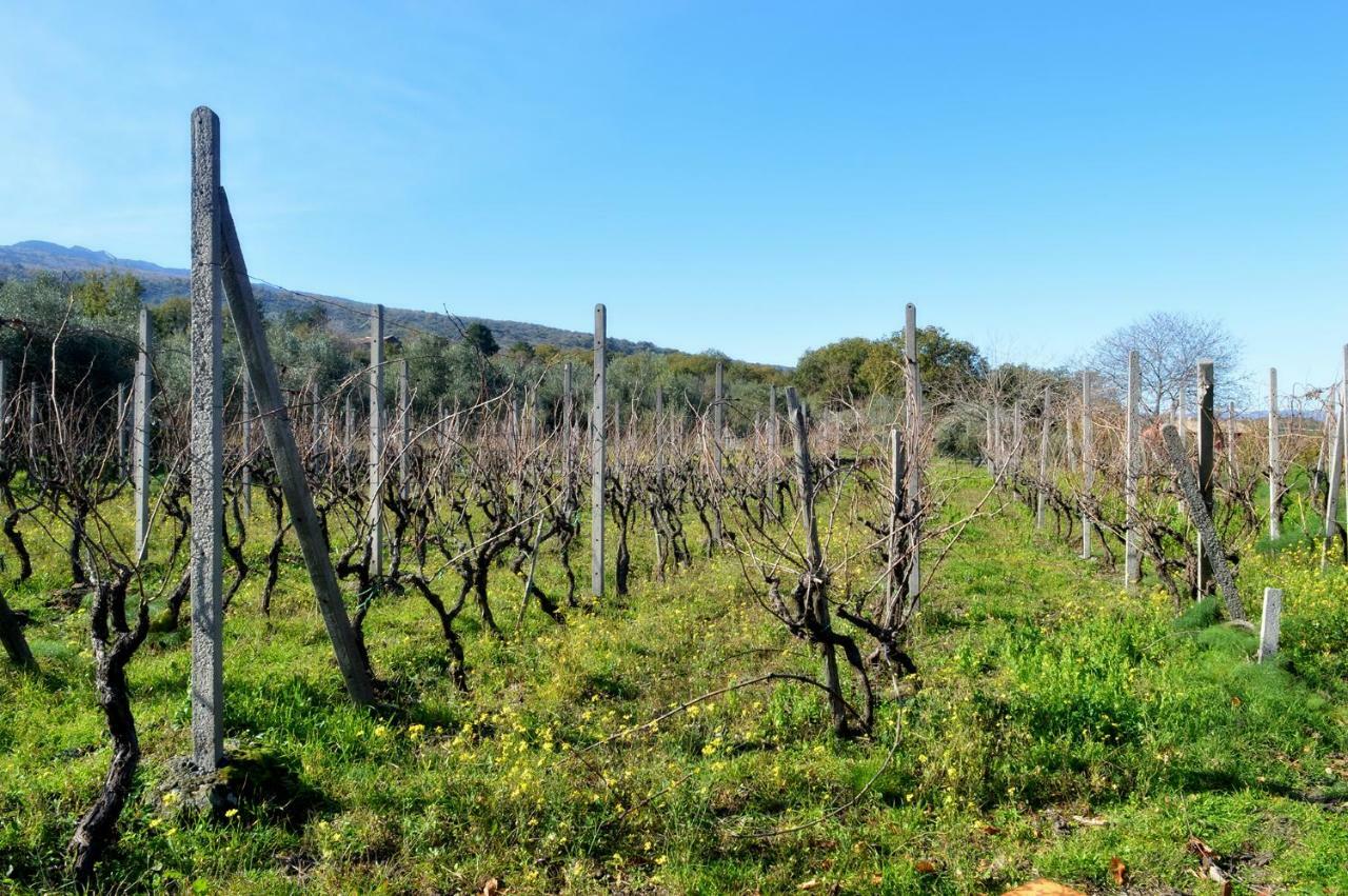 Agriturismo Kikajon Linguaglossa Luaran gambar